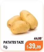 PATATES TAZE Kg.