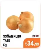 SOĞAN KURU TAZE
