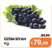 ÜZÜM SİYAH Kg.