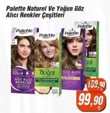 Naturel Ve Yoğun Göz Alıcı Renkler Çeşitleri