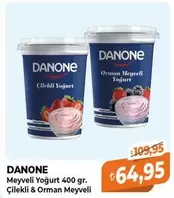 Danone - Meyveli Yoğurt
