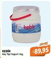 Köy Tipi Yoğurt