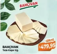 Taze Kaşar Kg.