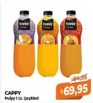 Pulpy