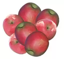 Elma Pink Lady Kg