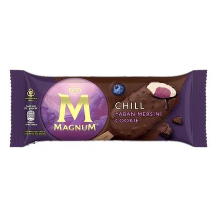 ALGİDA MAGNUM DOUBLE CHILL 85 ML