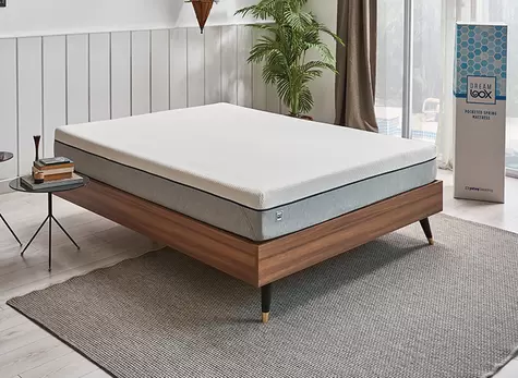 Dream Box