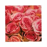 Pink Rose Kağıt Peçete 20'li 33x33 cm