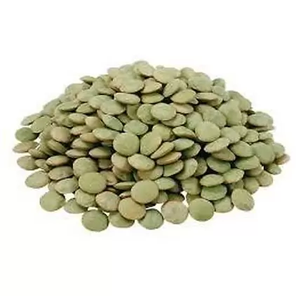 SOYKAN YESIL MERCIMEK DOKME