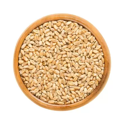 SOYKAN BUGDAY 1KG