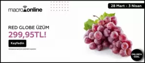28 Mart - 3 Nisan Üzüm Red Globe İthal 299,95 TL!