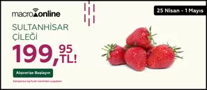 25 Nisan - 1 Mayıs Sultanhisar Çileği 199,95 TL!