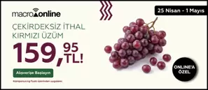 25 Nisan - 1 Mayıs Kırmızı Üzüm Çekirdeksiz İthal 159,95 TL!