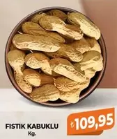 FISTIK KABUKLU