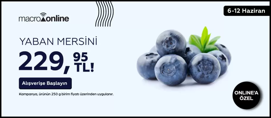 6 - 12 Haziran Jumbo Yaban Mersini 229,95 TL / 250 G!