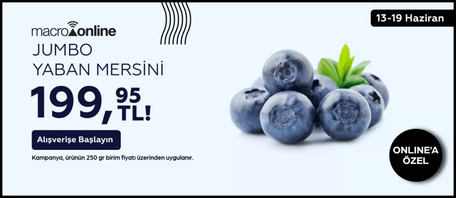 13 - 19 Haziran Jumbo Yaban Mersini 199,95 TL / 250 G!