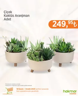 Hakmar Express kataloğu | Hakmar Express katalog | 2025-11-18T00:00:00.000Z - 2025-12-01T00:00:00.000Z