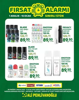 Ali Pehlivanoğlu kataloğu, Armutalan | Ali Pehlivanoğlu katalog | 2025-12-01T00:00:00.000Z - 2026-01-15T00:00:00.000Z