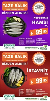 Pekdemir kataloğu, Merkez (Tokat) | Pekdemir katalog | 2025-11-29T00:00:00.000Z - 2025-12-13T00:00:00.000Z