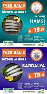 Pekdemir kataloğu | Seçili ürünlerde harika indirimler | 2025-12-03T00:00:00.000Z - 2025-12-17T00:00:00.000Z