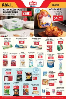 BİM kataloğu, Ekinci | 16 Aralık Salı. | 2025-12-16T00:00:00.000Z - 2025-12-16T00:00:00.000Z