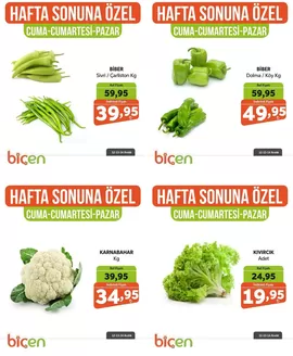 Biçen Market kataloğu, Karaman (Karaman) | Seçili ürünlerde harika indirimler | 2025-12-12T00:00:00.000Z - 2025-12-14T00:00:00.000Z