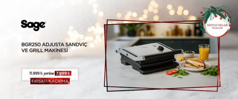 Enplus kataloğu, Sarıveliler | Sage | 2025-12-16T00:00:00.000Z - 2026-01-06T00:00:00.000Z