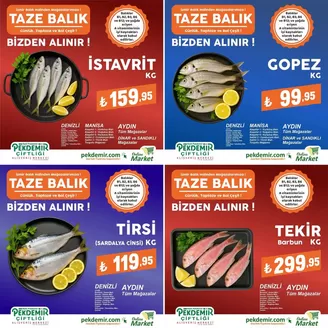 Pekdemir kataloğu, Manisa | Müşterilerimiz için özel fırsatlar | 2026-01-28T00:00:00.000Z - 2026-02-11T00:00:00.000Z