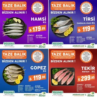 Pekdemir kataloğu, Reşadiye (İstanbul) | Sizin için özel teklifler | 2026-01-30T00:00:00.000Z - 2026-02-13T00:00:00.000Z