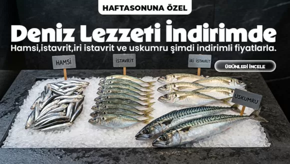 İyaş Hipermarket kataloğu, Pendik | Özel fırsatlar | 2026-03-08T00:00:00.000Z - 2026-03-22T00:00:00.000Z