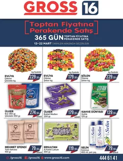 Seyhanlar kataloğu, Ulaş (Sivas) | Seyhanlar Katalog | 2026-03-13T00:00:00.000Z - 2026-03-22T00:00:00.000Z