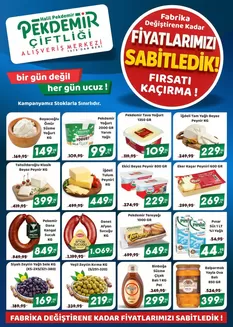 Pekdemir kataloğu | Herkes için cazip özel teklifler | 2026-03-25T00:00:00.000Z - 2026-04-08T00:00:00.000Z