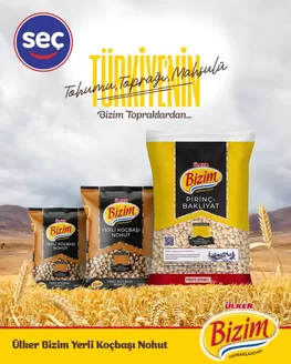 Seç Market kataloğu | Cazip teklifleri keşfedin | 2026-03-31T00:00:00.000Z - 2026-04-14T00:00:00.000Z