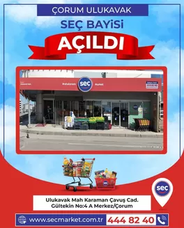 Seç Market kataloğu, Bostancı (Balıkesir) | En iyi fırsatlar ve indirimler | 2026-04-03T00:00:00.000Z - 2026-04-17T00:00:00.000Z
