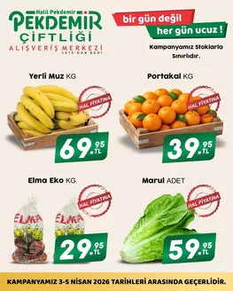 Pekdemir kataloğu, Bostancı (Balıkesir) | Pekdemir katalog | 2026-04-03T00:00:00.000Z - 2026-04-05T00:00:00.000Z