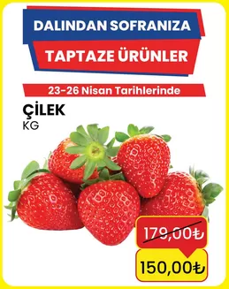 Özhan Market kataloğu | Sizin için en iyi fırsatlarımız | 2026-04-23T00:00:00.000Z - 2026-04-26T00:00:00.000Z