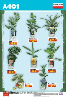 A101 kataloğu | A101 | 2026-04-27T00:00:00.000Z - 2026-05-03T00:00:00.000Z