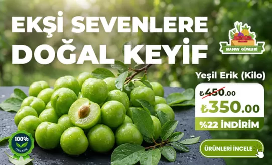 İyaş Hipermarket kataloğu | Özel fırsatlar | 2026-05-05T00:00:00.000Z - 2026-05-19T00:00:00.000Z