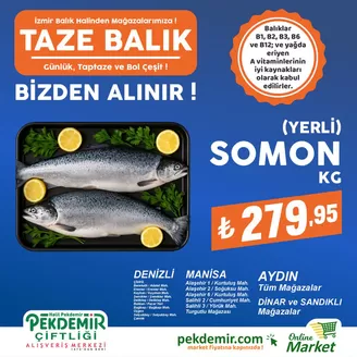 Pekdemir kataloğu, Mecidiye (Edirne) | En iyi fırsatlarımız | 2026-05-11T00:00:00.000Z - 2026-05-25T00:00:00.000Z