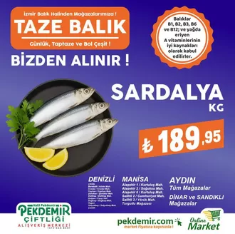 Pekdemir kataloğu, Seymen (İstanbul) | Tüm müşteriler için harika teklif | 2026-05-17T00:00:00.000Z - 2026-05-31T00:00:00.000Z