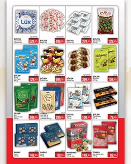 Seyhanlar kataloğu | Seyhanlar katalog | 2026-05-19T00:00:00.000Z - 2026-06-02T00:00:00.000Z