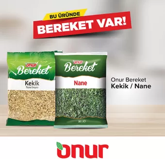 Onur Market kataloğu, Türkoğlu | Seçili ürünlerde harika indirimler | 2026-05-23T00:00:00.000Z - 2026-06-06T00:00:00.000Z