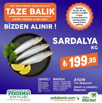 Pekdemir kataloğu, Türkoğlu | Tasarrufçular için en iyi teklifler | 2026-05-23T00:00:00.000Z - 2026-06-06T00:00:00.000Z