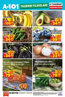 A101 kataloğu | Müşterilerimiz için özel fırsatlar | 2026-06-04T00:00:00.000Z - 2026-06-07T00:00:00.000Z