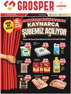 Grosper kataloğu, Fıstıklı | Grosper katalog | 2026-06-04T00:00:00.000Z - 2026-06-15T00:00:00.000Z