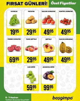 Başgimpa kataloğu, Adilcevaz | Oferta | 2026-06-05T00:00:00.000Z - 2026-06-07T00:00:00.000Z