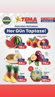 Tema Market kataloğu, Adilcevaz | Oferta | 2026-06-05T00:00:00.000Z - 2026-06-07T00:00:00.000Z