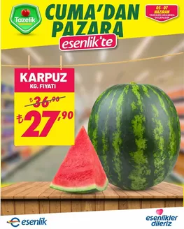 Esenlik kataloğu, Ceylan (Muğla) | Tüm müşteriler için harika teklif | 2026-06-05T00:00:00.000Z - 2026-06-07T00:00:00.000Z