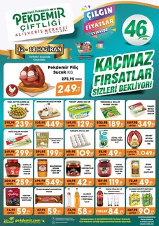 Pekdemir kataloğu, Terme | İndirimler ve kampanyalar | 2026-06-12T00:00:00.000Z - 2026-06-18T00:00:00.000Z
