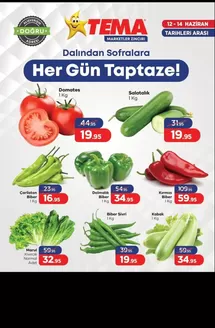 Tema Market kataloğu, Terme | Oferta | 2026-06-12T00:00:00.000Z - 2026-06-14T00:00:00.000Z